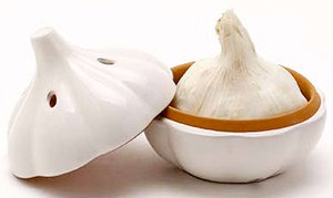 Garlic Keeper - Terracotta by MSC International