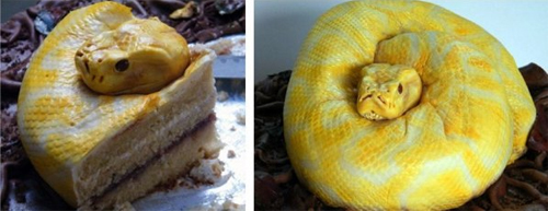 ...this snake is cake!