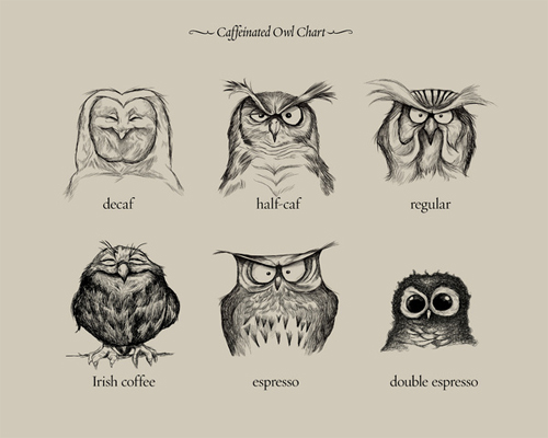 Caffeinated Owls Art Print by Dave Mottram